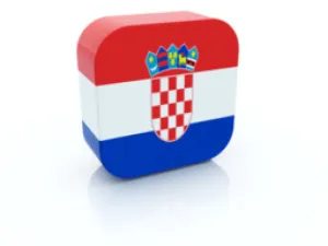 Croata, Sarba, Albaneza, Macedoneana, Bosniaca [ engleza] - efectuez traduceri in Romania+ Bucuresti