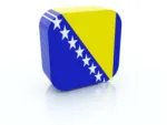 Croata, Sarba, Albaneza, Macedoneana, Bosniaca [ engleza] - efectuez traduceri in Romania+ Bucuresti - Miniatura 2