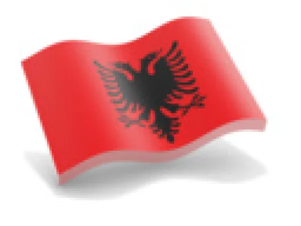 Croata, Sarba, Albaneza, Macedoneana, Bosniaca [ engleza] - efectuez traduceri in Romania+ Bucuresti - Imaginea 3