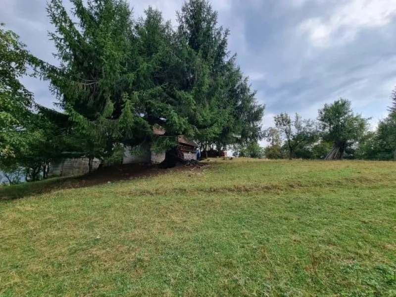 Teren de vanzare in Poiana Marului Brasov, locatie panoramica unica, 21537 mp, 190. 000 euro - Imaginea 1