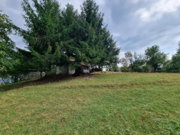 Teren de vanzare in Poiana Marului Brasov, locatie panoramica unica, 21537 mp, 190. 000 euro - Imaginea 1