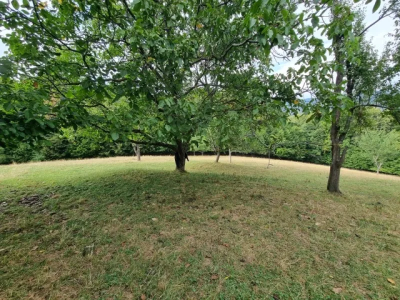 Teren de vanzare in Poiana Marului Brasov, locatie panoramica unica, 21537 mp, 190. 000 euro - Imaginea 3