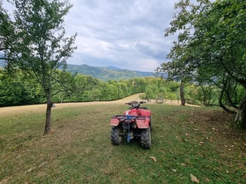 Teren de vanzare in Poiana Marului Brasov, locatie panoramica unica, 21537 mp, 190. 000 euro - Imaginea 5