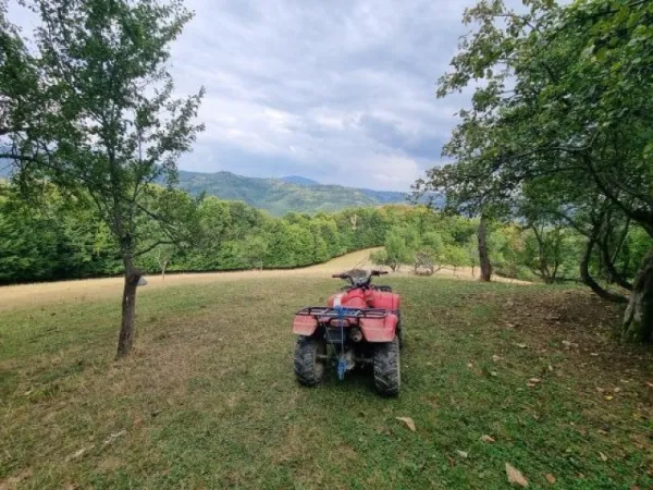 Teren de vanzare in Poiana Marului Brasov, locatie panoramica unica, 21537 mp, 190. 000 euro - Imaginea 5