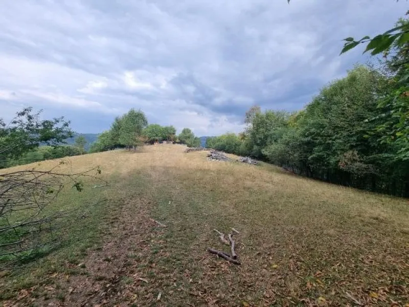 Teren de vanzare in Poiana Marului Brasov, locatie panoramica unica, 21537 mp, 190. 000 euro - Imaginea 7