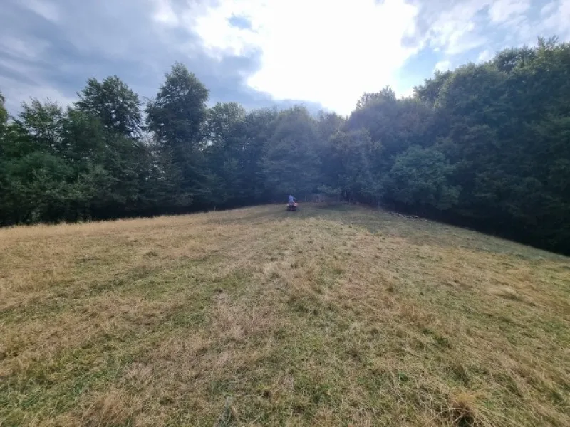 Teren de vanzare in Poiana Marului Brasov, locatie panoramica unica, 21537 mp, 190. 000 euro - Imaginea 8