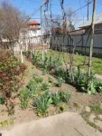 Casa, 4 camere, constructie 1950, teren 3500mp, Comuna Cosoba, 48. 900euro - Miniatura 1