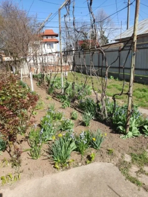Casa, 4 camere, constructie 1950, teren 3500mp, Comuna Cosoba, 48. 900euro - Imaginea 7