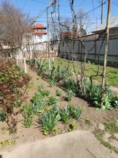Casa, 4 camere, constructie 1950, teren 3500mp, Comuna Cosoba, 48. 900euro - Imaginea 7