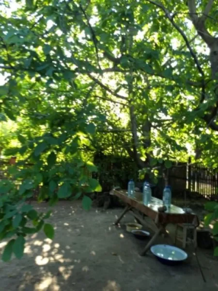Casa 110mp, 5 camere, teren 2388mp, Dolj, Valea Stanciului, 20. 000euro - Imaginea 6