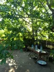 Casa 110mp, 5 camere, teren 2388mp, Dolj, Valea Stanciului, 20. 000euro - Miniatura 6