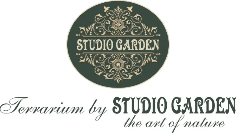 Studio Garden - Amenajari Gradini Bucuresti - Imaginea 1