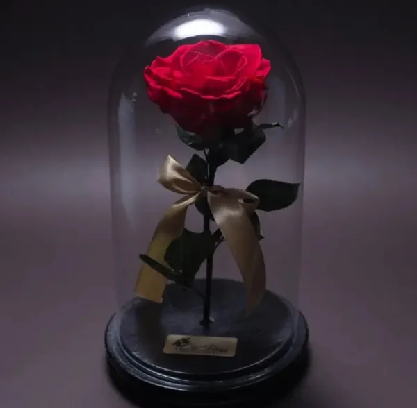 OkFlora - flori, dulciuri si cadouri livrate cu eleganta - Imaginea 1