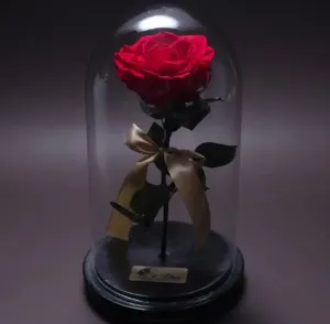 OkFlora - flori, dulciuri si cadouri livrate cu eleganta
