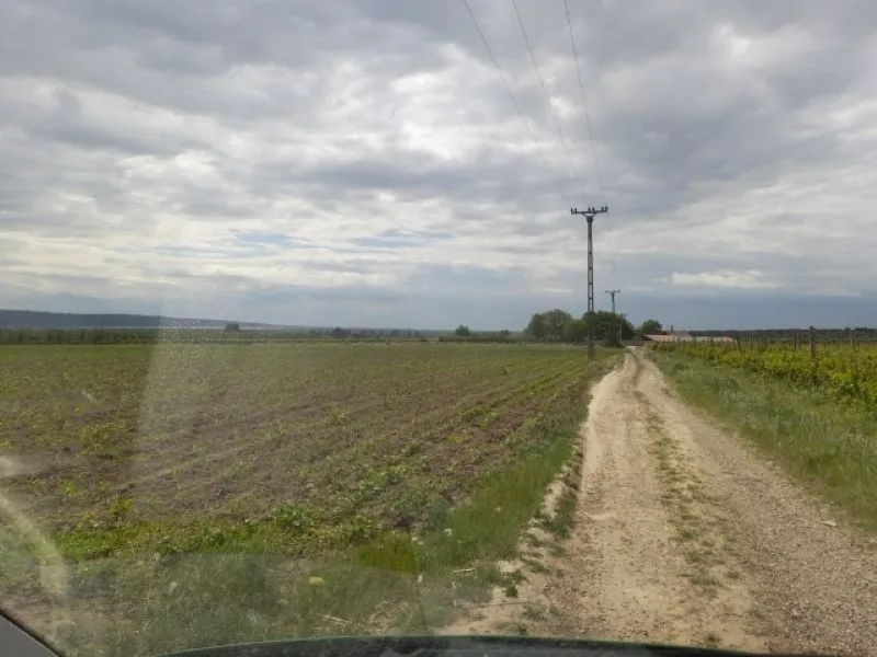 Ferma 6 ha Adjud, curent trifazic, 2 bazine de apa, 98. 000 euro - Imaginea 8