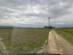 Ferma 6 ha Adjud, curent trifazic, 2 bazine de apa, 98. 000 euro - Miniatura 8