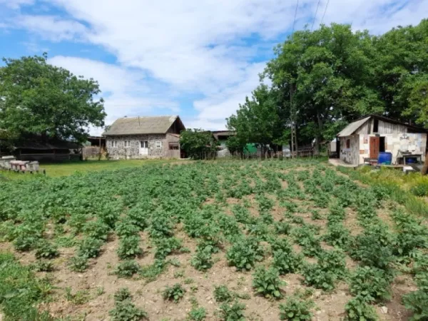 Ferma 6 ha Adjud, curent trifazic, 2 bazine de apa, 98. 000 euro - Imaginea 1
