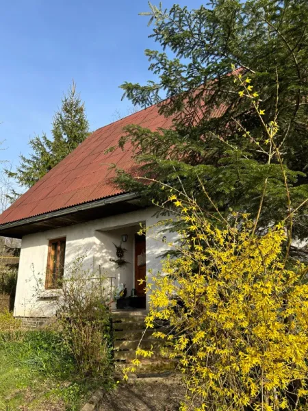 Casa de vinzare cu locatie superba in Targu Lapus - Imaginea 1