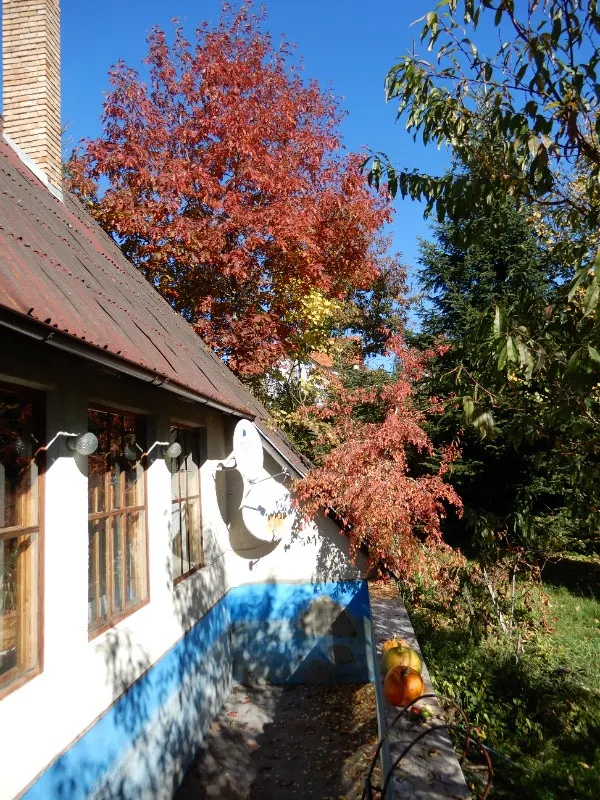 Casa de vinzare cu locatie superba in Targu Lapus - Imaginea 2