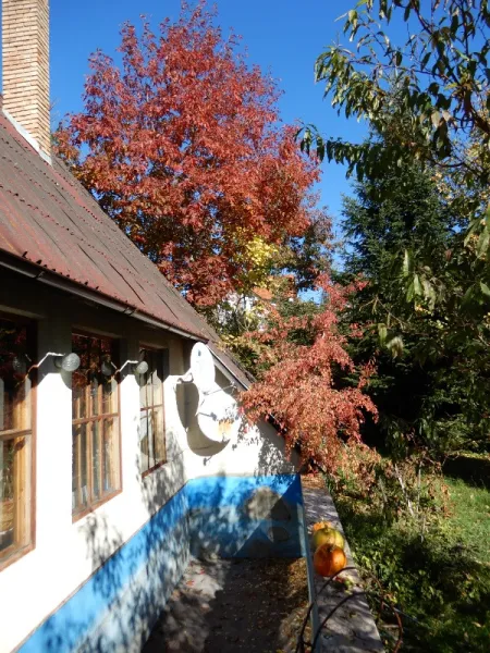 Casa de vinzare cu locatie superba in Targu Lapus - Imaginea 2