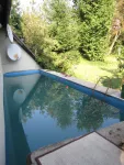 Casa de vinzare cu locatie superba in Targu Lapus - Miniatura 3