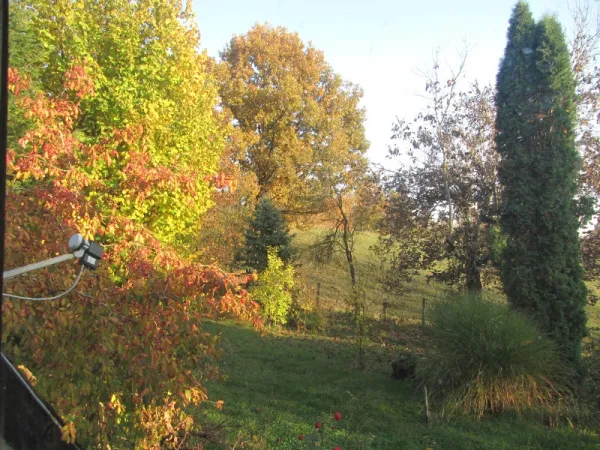 Casa de vinzare cu locatie superba in Targu Lapus - Imaginea 4