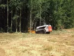 Servicii defrisare si curatare terenuri - Miniatura 6