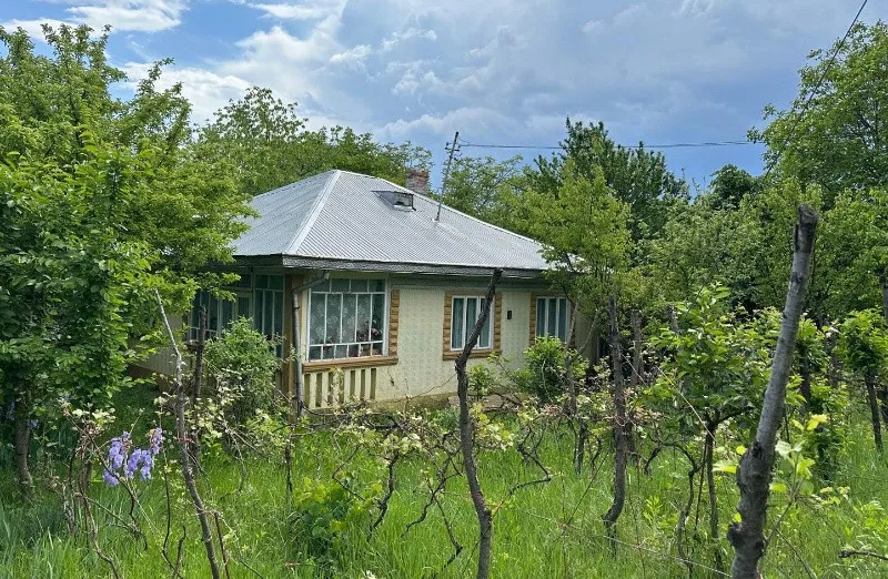 Casa la tara - 9 km de Dorohoi - Imaginea 2