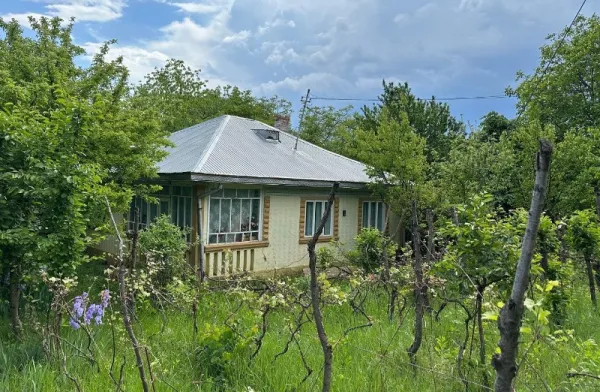 Casa la tara - 9 km de Dorohoi - Imaginea 2