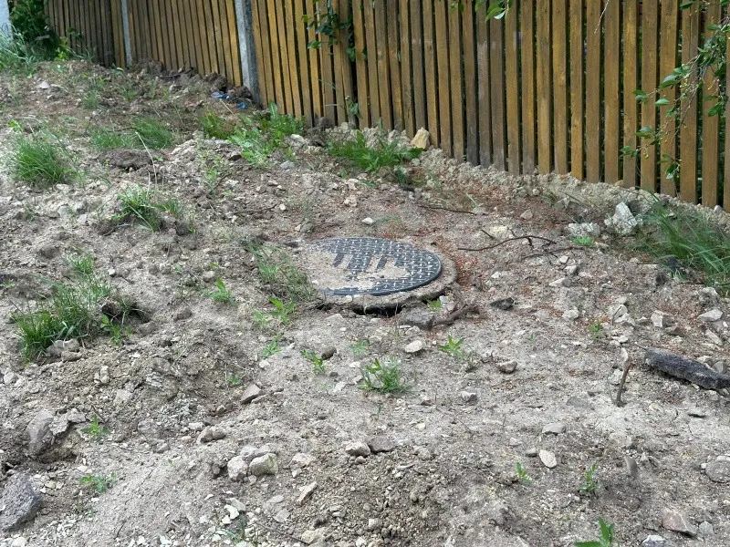 Casa la tara - 9 km de Dorohoi - Imaginea 9