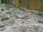 Casa la tara - 9 km de Dorohoi - Miniatura 9