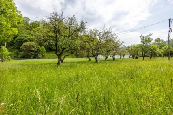Teren de vanzare, zona Fagarasului, Sinca Noua, deschidere 70ml, 8250 mp, 104. 000euro - Imaginea 2