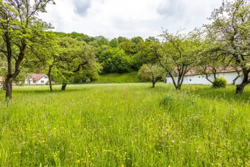 Teren de vanzare, zona Fagarasului, Sinca Noua, deschidere 70ml, 8250 mp, 104. 000euro - Imaginea 3
