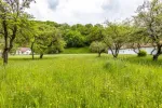 Teren de vanzare, zona Fagarasului, Sinca Noua, deschidere 70ml, 8250 mp, 104. 000euro - Miniatura 3