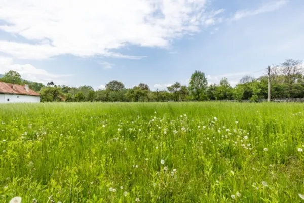 Teren de vanzare, zona Fagarasului, Sinca Noua, deschidere 70ml, 8250 mp, 104. 000euro - Imaginea 5