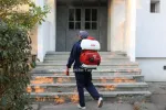 Dezinsectie, Dezinfectie, Deratizare - Miniatura 8