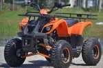 Atv Ege Of Toronto 125cc, 3g7 tractiune 4w2 - Miniatura 3