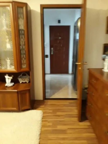 Apartament 2 camere de lux ultracentral- pitesti - Imaginea 3