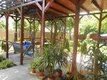Casa Cory, Mangalia - Miniatura 4
