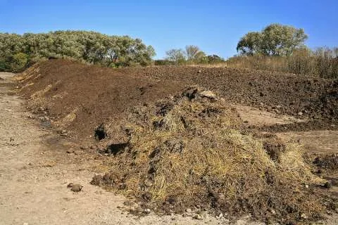 Ingrasamant natural pentru solarii (legume). - Imaginea 2