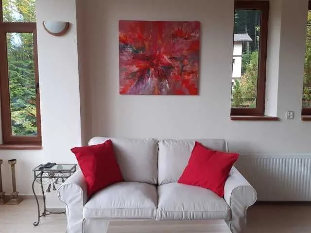 VILA IN SINAIA 10 CAMERE - Imaginea 8