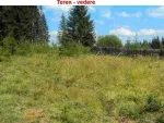 Vatra Dornei - Neagra Sarului - teren 6500 mp - Miniatura 7