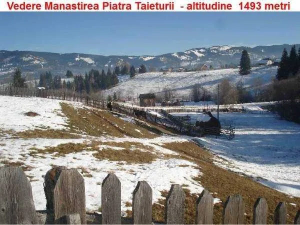 Vatra Dornei - Neagra Sarului - teren 6500 mp - Imaginea 9