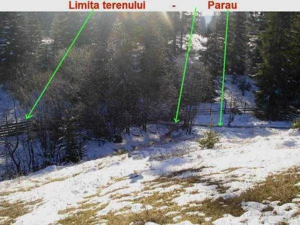 Vatra Dornei - Neagra Sarului - teren 6500 mp - Imaginea 10