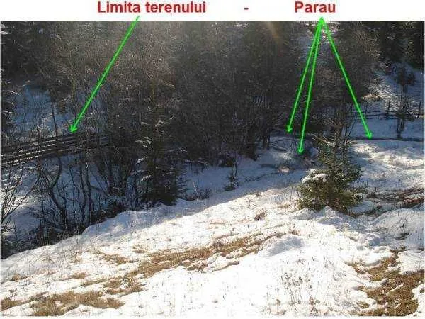 Vatra Dornei - Neagra Sarului - teren 6500 mp - Imaginea 11