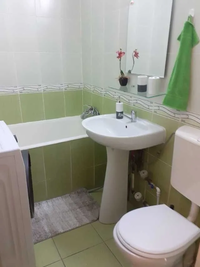 Inchiriere garsoniera zona Teiul Doamnei sector 2 - Imaginea 3