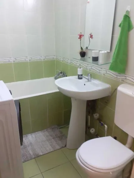 Inchiriere garsoniera zona Teiul Doamnei sector 2 - Imaginea 3