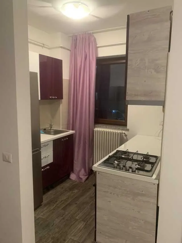 Inchirierez apartament cu 2 camere in Buna Ziua zona Grand Hotela Italia - Imaginea 3