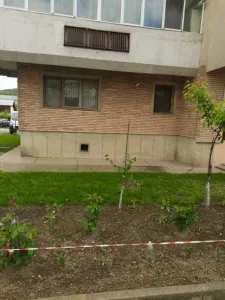 Apartament 3 camere in Tg. Ocna, ultra- central, ideal pentru spatiu comercial