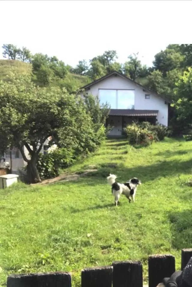 Casa campulung Muscel Strada Valea Barbusi - Imaginea 9